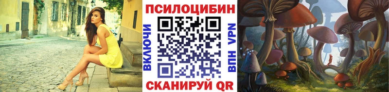 где можно купить   Алдан  Псилоцибиновые грибы Psilocybine cubensis 
